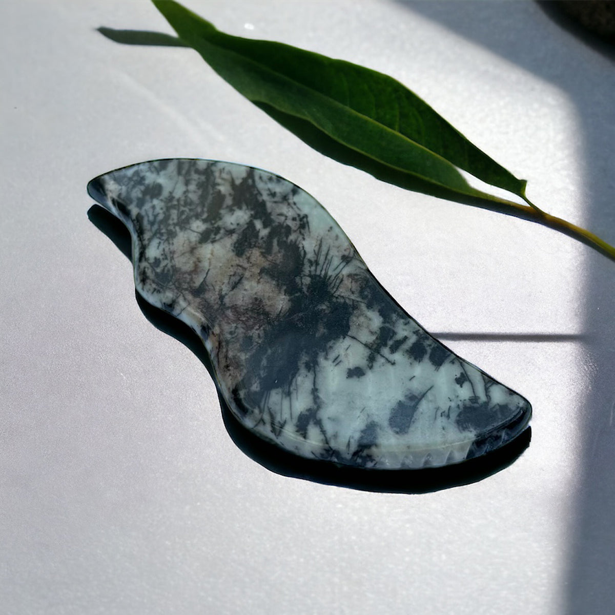 Gua Sha Stone: Picasso Jasper