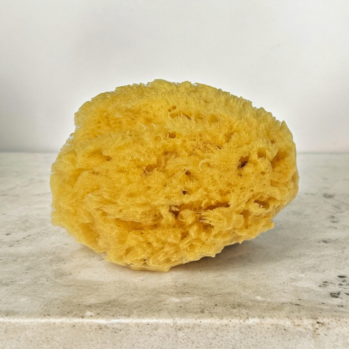 Dead Sea Face & Body Cleansing Sponge